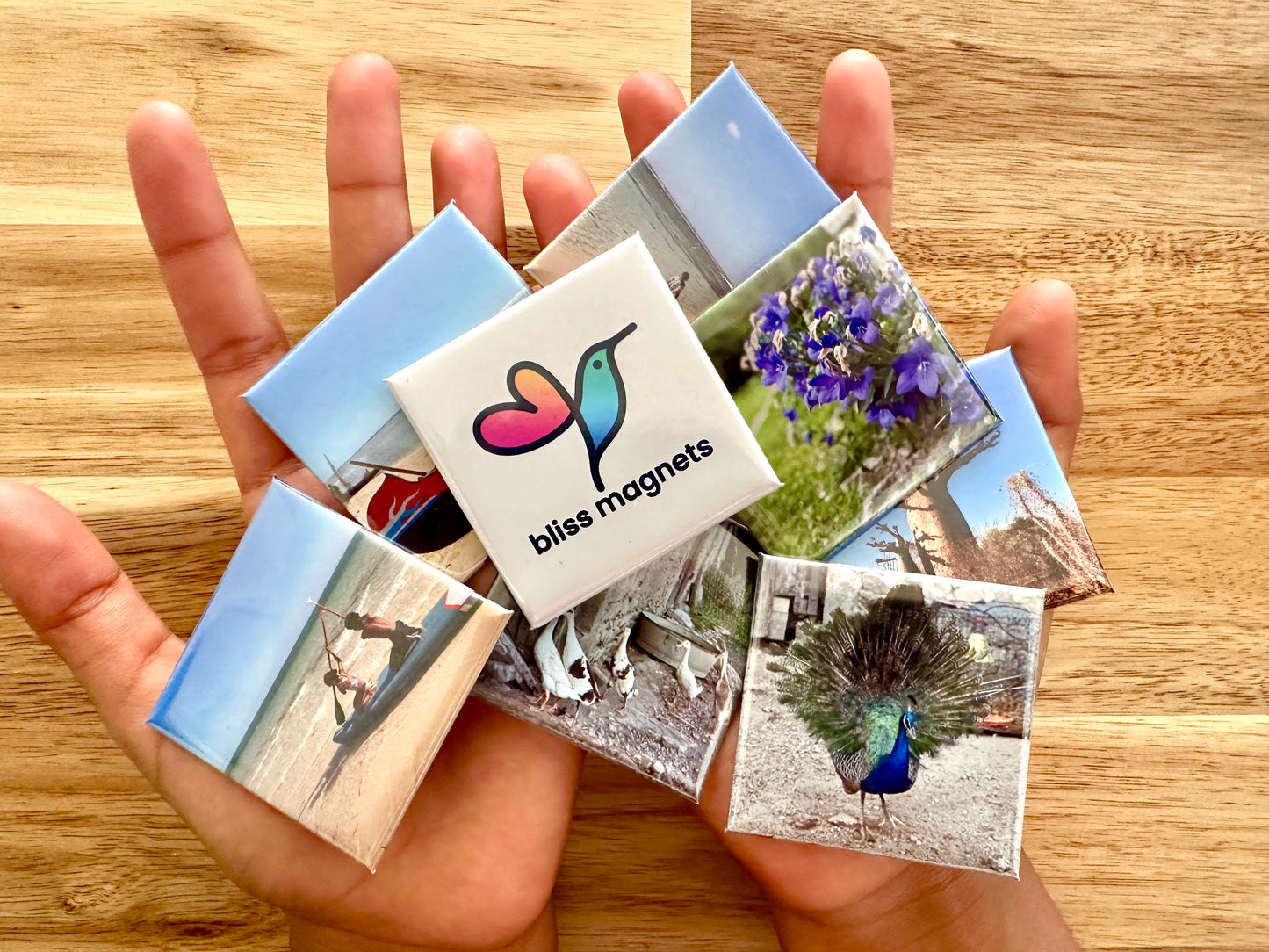 Set of 9 photo magnets